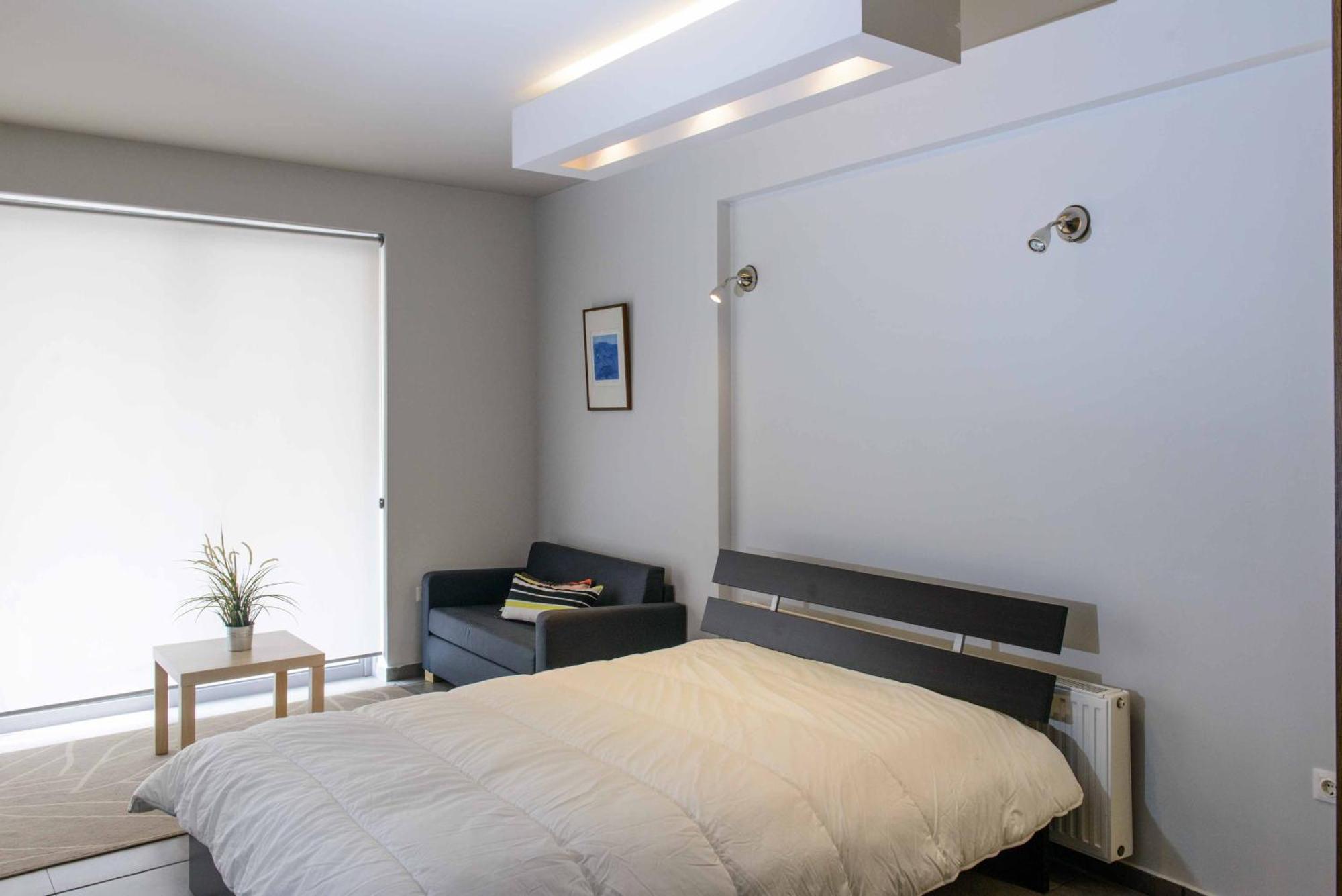Cosy Luxury Apartment アテネ エクステリア 写真