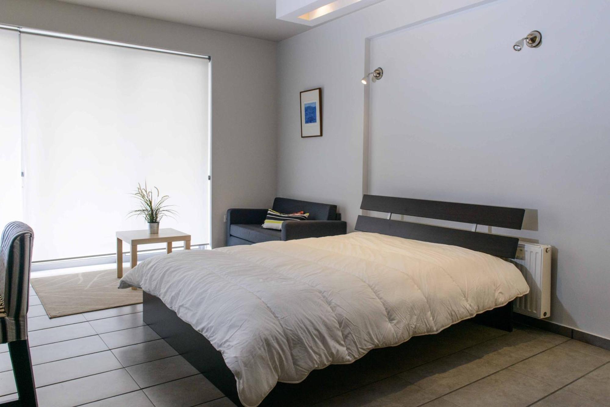 Cosy Luxury Apartment アテネ エクステリア 写真